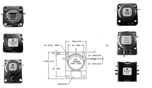 Renaissance Electronics������/������